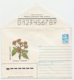 Листи, фото Письма, фото ^/--/^ Конверт 1989 Берегите природу Кузьмин Р /--/ 7 ^_^^^ Конверт 1989 Бережіть природу Кузьмін Р /--/ 7 - фото фото фото