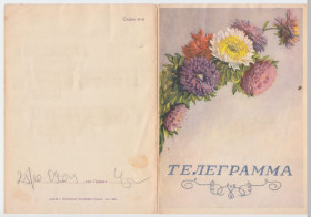 СРСР СССР ^/--/^ Цветы телеграмма 1958 Р /--/ 11 ^_^^^ Квіти телеграма 1958 Р /--/ 11 - фото фото фото