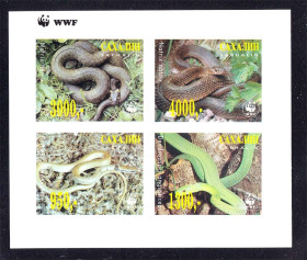 Фауна Фауна ^/--/^ Фауна . Сахалин  ** б/з кварт =  WWF - пресмыкающиеся ^_^^^ Фауна . Сахалін ** б/з кварт = WWF - плазуни - фото фото фото
