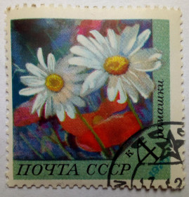 СРСР - СССР - ^/--/^ СССР 1970 Цветы, ромашки, гашеная ^_^^^ СРСР 1970 Квіти, ромашки, гашена - фото фото фото
