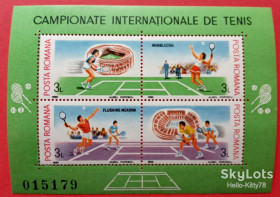Румунія Румыния ^/--/^ Румыния 1988 спорт теннис Mi блок 245 MNH ^_^^^ Румунія 1988 спорт теніс Mi блок 245 MNH - фото фото фото