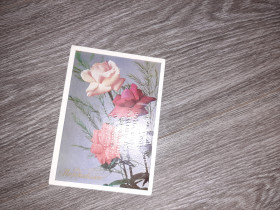 СРСР СССР ^/--/^ Открытка СССР Поздравляю 1977 /--/ г. ^_^^^ Листівка СРСР Вітаю 1977 /--/ р. - фото фото фото