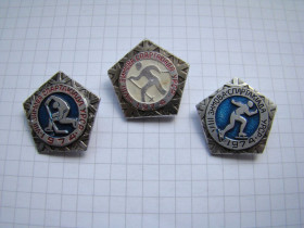 Спортивні Спортивные ^/--/^ Значок 8 зимняя спартакиада УССР, 1974 г., 3 шт. ^_^^^ Значок 8 зимова спартакіада УРСР, 1974 р., 3 шт. - фото фото фото