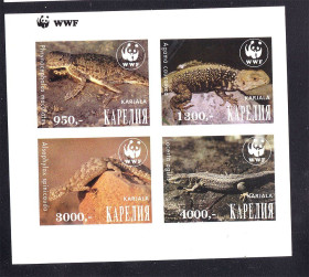 Фауна Фауна ^/--/^ Фауна . Карелия   ** -  WWF - б/з кварт - пресмыкающиеся ^_^^^ Фауна . Карелія ** - WWF - б/з кварт - плазуни - фото фото фото