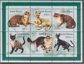 Гвінея-Бісау Гвинея-Бисау ^/--/^ Гвинея-Бисау 2001 КОТЫ КОШКИ КОШАЧЬИ ПОРОДЫ МЛЕКОПИТАЮЩИЕ ЖИВОТНЫЕ ФАУНА М-лист 6 /--/ м 1165-1170** $6.91 ^_^^^ Гвінея-Бісау 2001 КОТИ КОШКИ КОШАЧІ ПОРОДИ МЛЕКОПІТНІ ФАУНА М-лист 6 /--/ м 1165-1170**USD 7 - фото фото фото