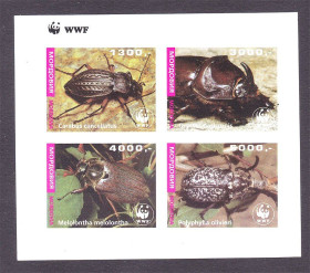 Фауна Фауна ^/--/^ Фауна . Мордовия  **    WWF - б/з кварт - жуки ^_^^^ Фауна . Мордовія ** WWF - б/з кварт - жуки - фото фото фото