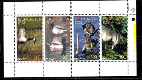 Фауна Фауна ^/--/^ Фауна . Бурятия 1991 г  MNH   - утки - синдерелла ^_^^^ Фауна . Бурятія 1991 р MNH - качки - синдерелла - фото фото фото