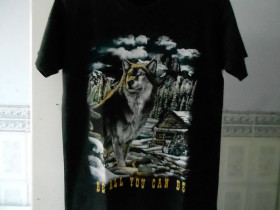 Футболки, майки Футболки, майки ^/--/^ Футболка   (100% cotton, M, Thailand) б/у ^_^^^ Футболка (100% cotton, M, Thailand) б/у - фото фото фото