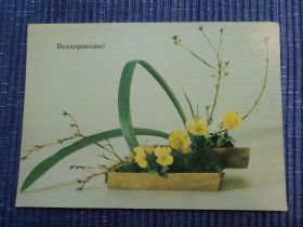 СРСР СССР ^/--/^ Поздоровляю! 1987 /--/ р. Квіти. Композиція. ^_^^^ Поздравляю! 1987 /--/ г. Цветы. Композиция. - фото фото фото