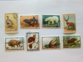 СРСР - СССР - ^/--/^ СССР 1957 г. ФАУНА СССР №1986- 1993, с гашением, с клеем ^_^^^ СРСР 1957 ФАУНА СРСР No /--/ 1986- 1993, з гасінням, з клеєм - фото фото фото