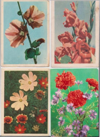 СРСР СССР ^/--/^ ЦВЕТЫ  открытки 1960 - 1970-х гг.  издательство РАДЯНСЬКА УКРАЇНА  8 шт.  ^_^^^ Цветы открытки 1960 - 1970-х гг. издательство Советская Украина 8 шт. - фото фото фото