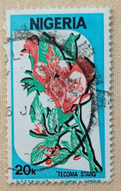 Флора Флора ^/--/^ Нигерия 1986 г -  Tecoma stans  (Тэкома прямостоячая), гаш ^_^^^ Нігерія 1986 — Tecoma stans (Текома прямостояча), гаш - фото фото фото