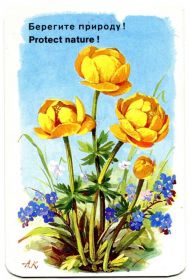 Календарі Календари ^/--/^ Карманный календарь, 1984 г. Аэрофлот. Серия `Берегите природу!` (6) ^_^^^ Кишеньковий календар 1984 р. Аерофлот. Серія "Бережіть природу!" (6) - фото фото фото