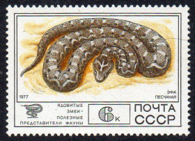 СРСР - СССР - ^/--/^ СРСР 1977 - Фауна СРСР ** ^_^^^ 1977 — Фауна СРСР - фото фото фото