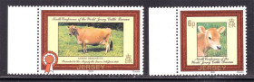 Фауна Фауна ^/--/^ NM Фауна  Джерси 1979 г MNH - корова , бычок ^_^^^ NM Фауна Джерсі 1979 MNH - корова, бичок - фото фото фото