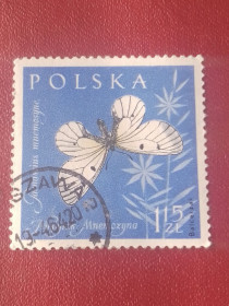 Польща Польша ^/--/^ Распродажа, Польша ^_^^^ Розпродаж, Польща - фото фото фото
