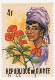 Гвінея Гвинея ^/--/^ Гвинея 1966 № 373 гашеная ^_^^^ Гвінея 1966 No 373 гашена - фото фото фото