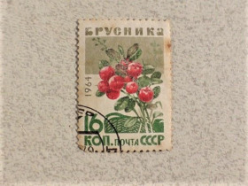 СРСР - СССР - ^/--/^ Поштова марка СССР 1964 рік ^_^^^ Почтовая марка СССР &amp;quot; Флора &amp;quot; 1964 год - фото фото фото