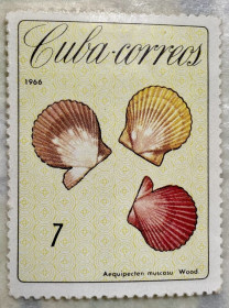 Острівні держави Островные государства ^/--/^ Куба 1966 р.   (SP) ** ^_^^^ Куба 1966 (SP) ** - фото фото фото