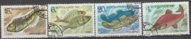 СРСР - СССР - ^/--/^ СССР 1983 фауна рыбы ^_^^^ СРСР 1983 фауна риби - фото фото фото