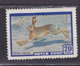 СРСР - СССР - ^/--/^ ZM  СССР 1960 г MNH - заяк ^_^^^ ZM СРСР 1960 MNH - заяк - фото фото фото
