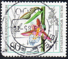 Інші країни Другие страны ^/--/^ Західний Берлін 1984 - Орхідеї  (Гб) ^_^^^ Западный Берлин 1984 — Орхидеи (Гб) - фото фото фото