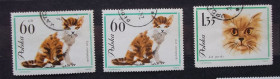 Фауна Фауна ^/--/^ Польша 1964 г - кошки ^_^^^ Польща 1964 — кішки - фото фото фото