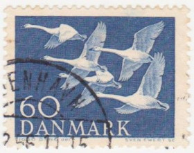Балтійські країни Балтийские страны ^/--/^ Дания   1956 г. №  369 гашеная ^_^^^ Данія 1956 р. No 369 гашена - фото фото фото
