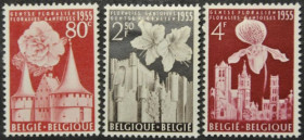 Інше Другое ^/--/^ Бельгия Фестиваль цветов 1955 ^_^^^ Бельгія Фестиваль квітів 1955 - фото фото фото