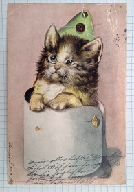 Іноземні Иностранные ^/--/^ Поштова картка Котик з моноклем Котики 1903 рік  Австрія bZ /--/ 08 ^_^^^ Почтовая карточка Котик с моноклем Котики 1903 год Австрия bZ /--/ 08 - фото фото фото