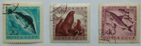 СРСР - СССР - ^/--/^ СССР 1960 Морская фауна, гашеные (I) ^_^^^ СРСР 1960 Морська фауна, гашені (I) - фото фото фото