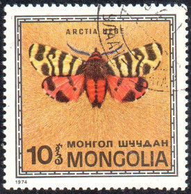 Монголія Монголия ^/--/^ Монголія 1974 - Метелики  (Г) ^_^^^ Монголия 1974 — бабочки (Г) - фото фото фото