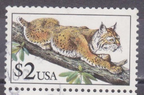 Північна Америка Северная Америка ^/--/^ США 1990 ДИКАЯ КОШКА КОШАЧЬИ РЫСЬ ЗООЛОГИЯ НАУКА ФАУНА ДИКАЯ ПРИРОДА ОХРАНА ЗАЩИТА Mi.2092 ^_^^^ 1990 ДІКА КІШКА КОШАЧЧІ РИСЬ ЗООЛОГІЯ НАУКА ФАУНА ДІКА ПРИРОДУ ОХОРОНА ЗАХИСТУ Mi.2092 - фото фото фото