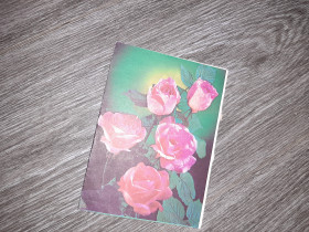 СРСР СССР ^/--/^ Открытка СССР Цветы 1986 /--/ г. ^_^^^ Листівка СРСР Квіти 1986 /--/ р. - фото фото фото