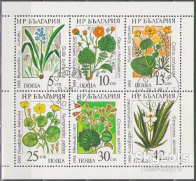 Балканський півострів Балканский полуостров ^/--/^ Болгария 1988 флора цветы Mi 3628-3633 малый лист ^_^^^ Болгарія 1988 флора квіти Mi 3628-3633 малий лист - фото фото фото