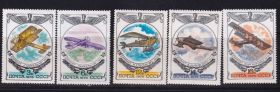 Транспорт Транспорт ^/--/^ Транспорт. Авиация. СССР  1976 г - ^_^^^ Транспорт. Авіація. СРСР 1976 р. - - фото фото фото