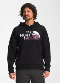 Толстовки Толстовки ^/--/^ Худі The North Face Logo Play Hoodie ^_^^^ Худи The North Face Logo Play Hoodie - фото фото фото