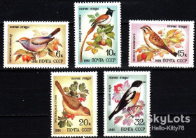 СРСР - СССР - ^/--/^ СССР 1981 фауна птицы СК 5153-5157 MNH ^_^^^ СРСР 1981 фауна птаха СК 5153-5157 MNH - фото фото фото