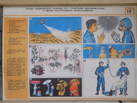 Інше Другое ^/--/^ Плакат ГО Первая медицинская помощь при отравлении ядохимикатами и ядами растительного происхождения ^_^^^ Плакат ГО Перша медична допомога при отруєнні отрутохімікатами та отрутами рослинного походження - фото фото фото