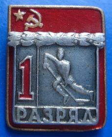 Спортивні Спортивные ^/--/^ 1 разряд хоккей накладной ВХО ^_^^^ 1 розряд хокей накладної ВХО - фото фото фото