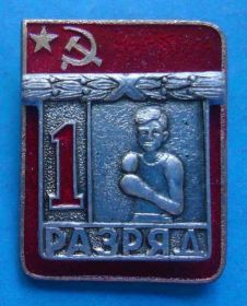 Спортивні Спортивные ^/--/^ 1 разряд бокс ЭПРК накладной 2 ^_^^^ 1 розряд бокс ЕПРК накладний 2 - фото фото фото