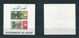 Освоєння космосу Освоение космоса ^/--/^ Катар  QATAR Space 1966 Mi Bl  3 Ba Black Gemini 6-7 overprint MNH ^_^^^ Катар QATAR Space 1966 Mi Bl 3 Ba Black Gemini 6-7 overprint MNH - фото фото фото