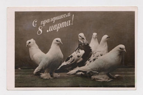 СРСР СССР ^/--/^ 8 БРЕЗНЯ - 8 МАРТА = ГОЛУБИ = листівка 1960-х р. = г.Кисловодск = чиста =тираж 50 тис. ^_^^^ 8 БРЕЗНЯ - 8 МАРТА = ГОЛУБЫ = открытка 1960-х г. = г. Кисловодск = чистая = Тираж 50 тыс. - фото фото фото