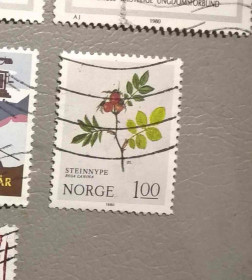 Флора Флора ^/--/^ Норвегия Флора 1980 ^_^^^ Норвегія Флора 1980 - фото фото фото