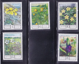 СРСР - СССР - ^/--/^ СССР  1975 г   MNH - флора ^_^^^ СРСР 1975 MNH - флора - фото фото фото