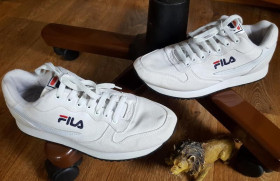 Кросівки Кроссовки ^/--/^ Эксклюзивные белые кроссовки fila original usa ^_^^^ Ексклюзивні білі кросівки fila original usa - фото фото фото
