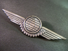 Відзнаки Знаки отличий ^/--/^ 4 /--/ А /--/ 40 Знак классность, крылья, авиация, ВВС, НАТО. Тяжелый металл, не магнитный ^_^^^ 4 /--/ А /--/ 40 Знак класність, крила, авіація, ВВС, НАТО. Важкий метал, не магнітний - фото фото фото