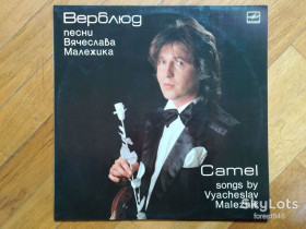 Платівки Пластинки ^/--/^ Верблюд-Песни Вячеслава Малежика  (лам. конв.)  (2)-Ex.+, Мелодія ^_^^^ Верблюд-Песны Вячеслава Малежика (лам. конв.) (2)-Ex.+, Мелодия - фото фото фото