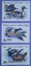СРСР - СССР - ^/--/^ СССР 1991 фауна птицы утки 3-й выпуск СК 6268-6270 MNH ^_^^^ СРСР 1991 фауна птиці качки 3-й випуск СК 6268-6270 MNH - фото фото фото