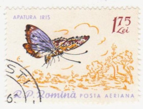 Румунія Румыния ^/--/^ Румыния 1960 г №  1935 гашеная ^_^^^ Румунія 1960 р. No 1935 гашена - фото фото фото